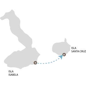 Isabela - Santa Cruz